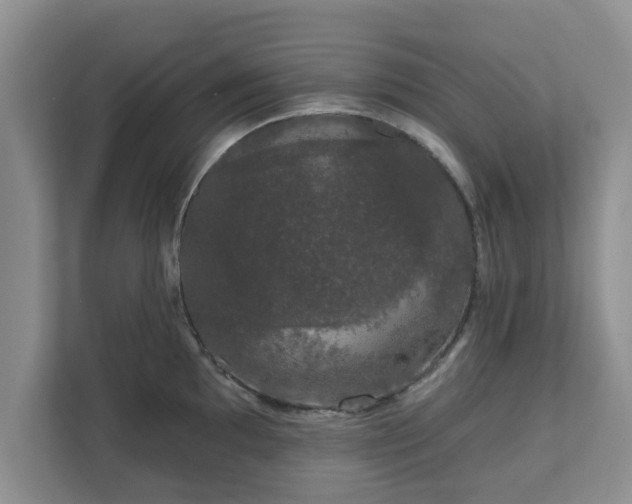 X0000111621097200907241025