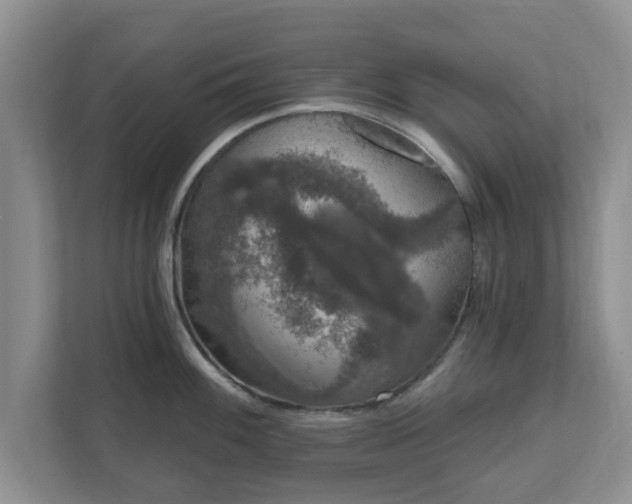 X0000111621100200907241025