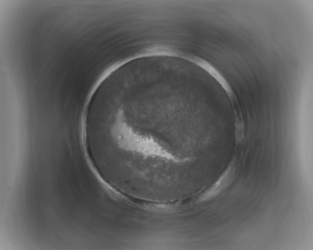 X0000111621101200907241025