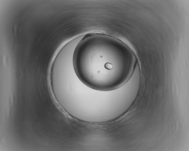 X0000111621104200907241025