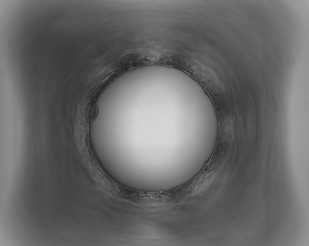X0000111621105200907241024