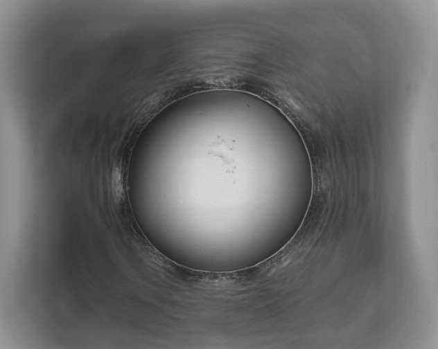 X0000111621106200907241024