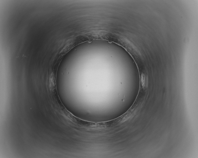 X0000111621107200907241024