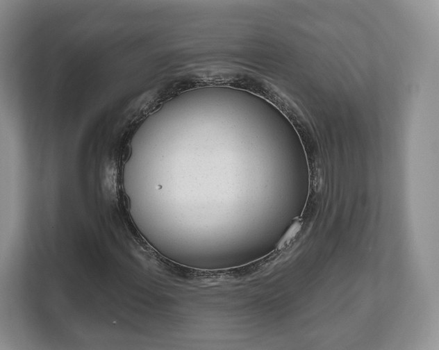 X0000111621108200907241024