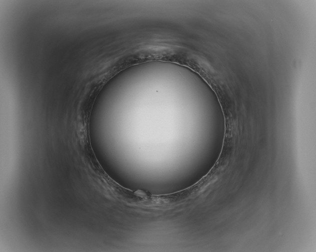 X0000111621109200907241024