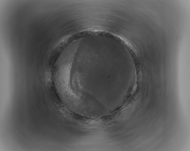 X0000111621110200907241024