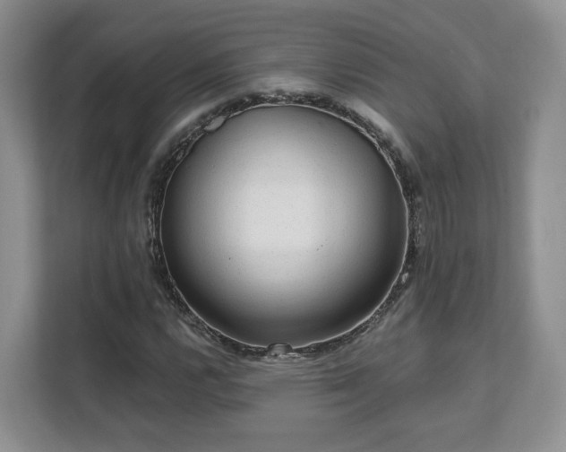 X0000111621112200907241024