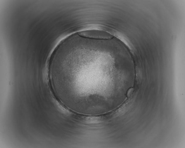 X0000111621116200907241024