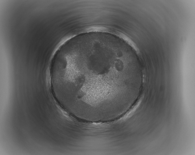 X0000111621117200907241024