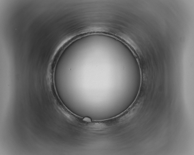 X0000111621119200907241024