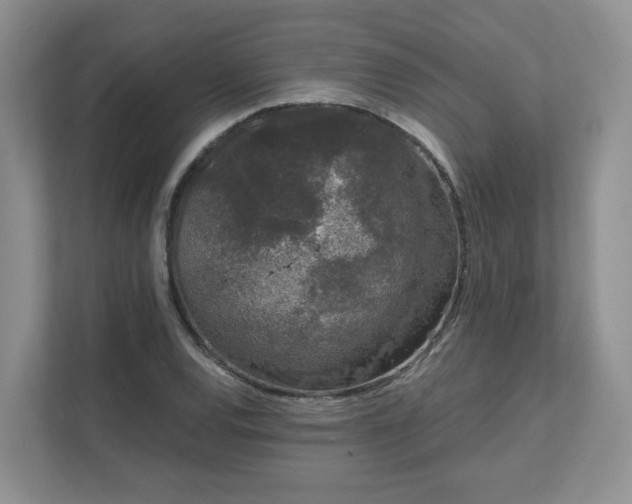 X0000111621120200907241024