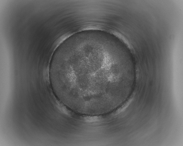 X0000111621121200907241024