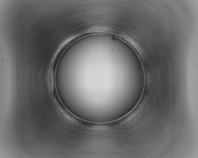 X0000111621123200907241024