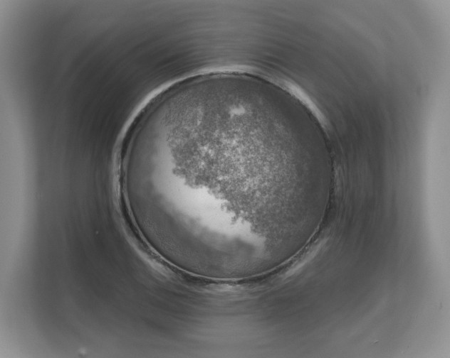X0000111621124200907241024