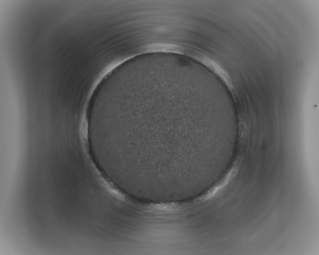 X0000111621125200907241024