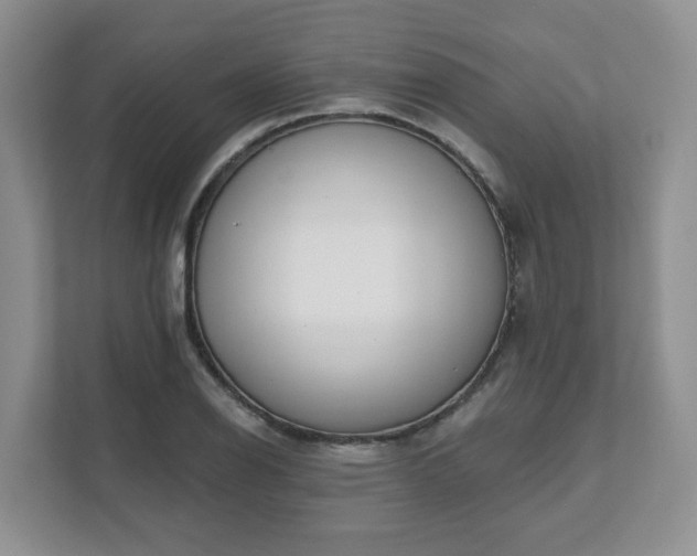 X0000111621126200907241024