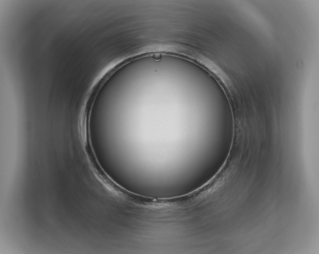 X0000111621127200907241024