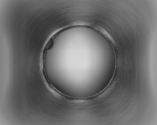 X0000111621132200907241025