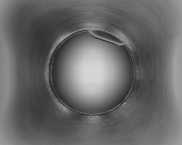 X0000111621136200907241025