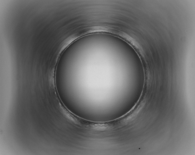 X0000111621137200907241025