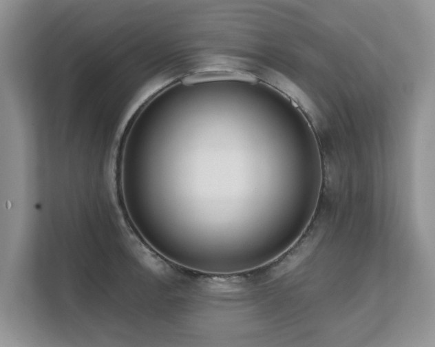 X0000111621138200907241025
