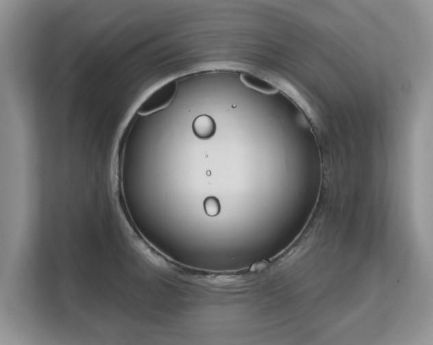 X0000111621140200907241025