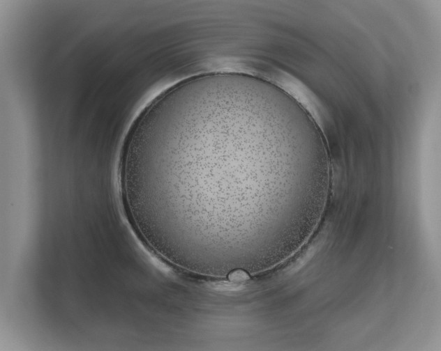 X0000111621141200907241025