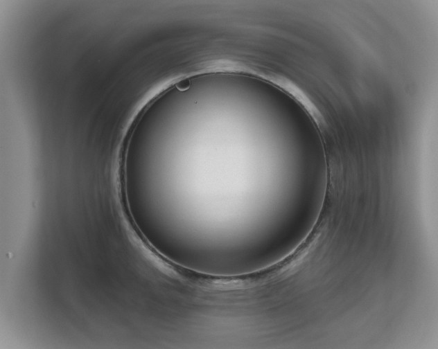 X0000111621142200907241025