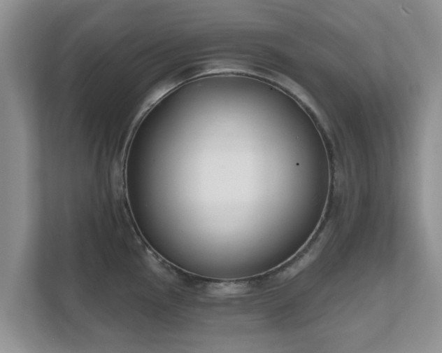 X0000111621145200907241025