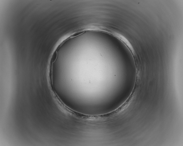 X0000111621146200907241025