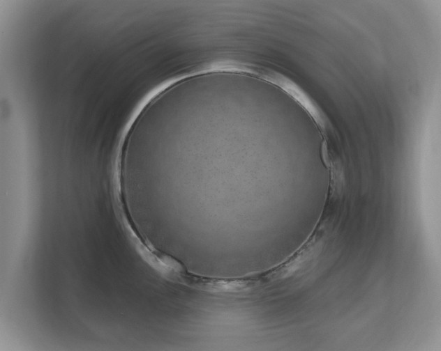 X0000111621148200907241025