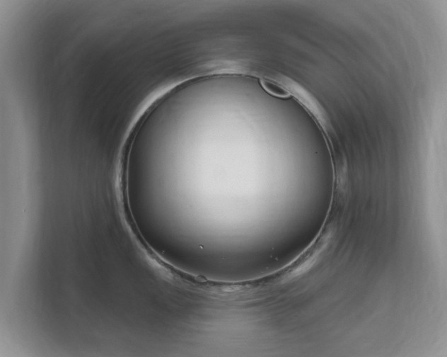 X0000111621149200907241025
