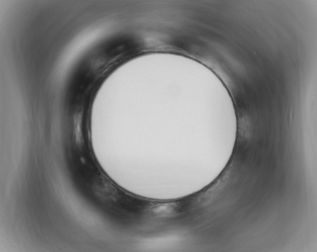X0000111621150200907241025