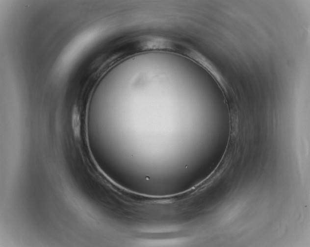X0000111621151200907241025