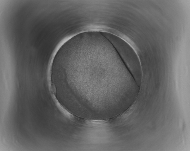 X0000111621152200907241025