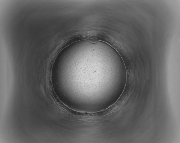 X0000111621153200907241024