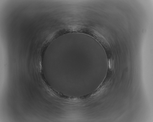 X0000111621155200907241024