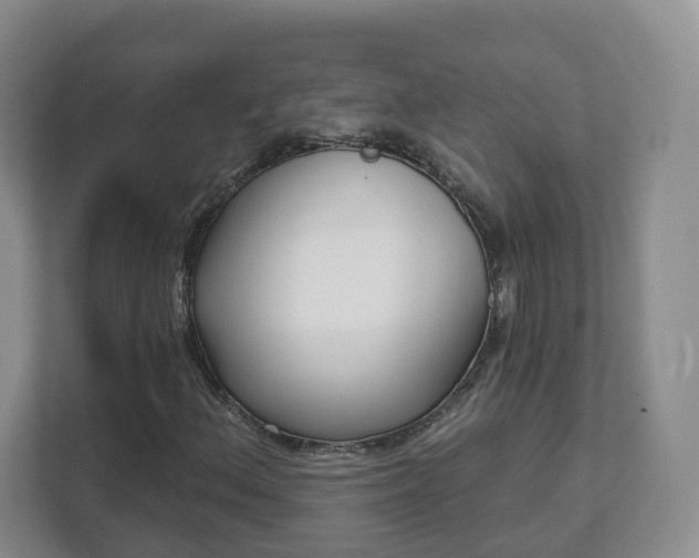 X0000111621156200907241024
