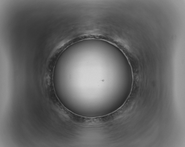X0000111621159200907241024