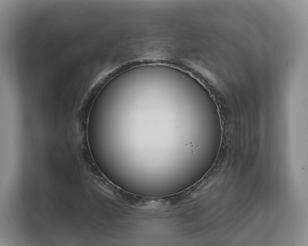 X0000111621160200907241024