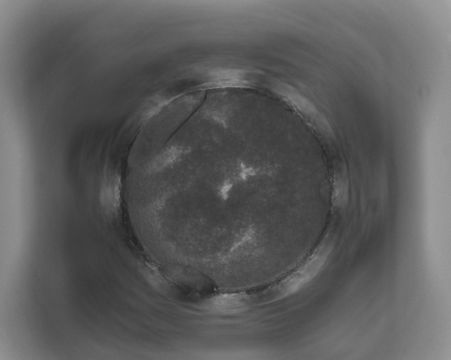X0000111621161200907241024