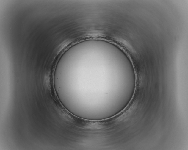 X0000111621162200907241024