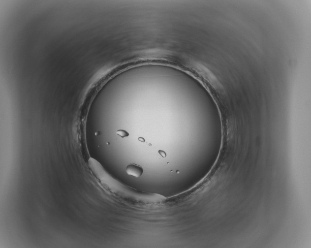 X0000111621164200907241024