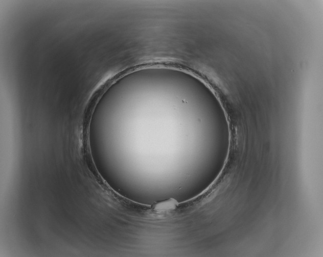 X0000111621165200907241024