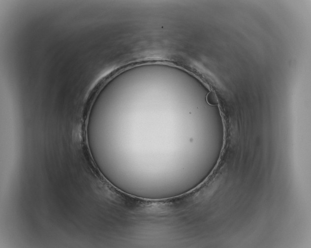 X0000111621166200907241024