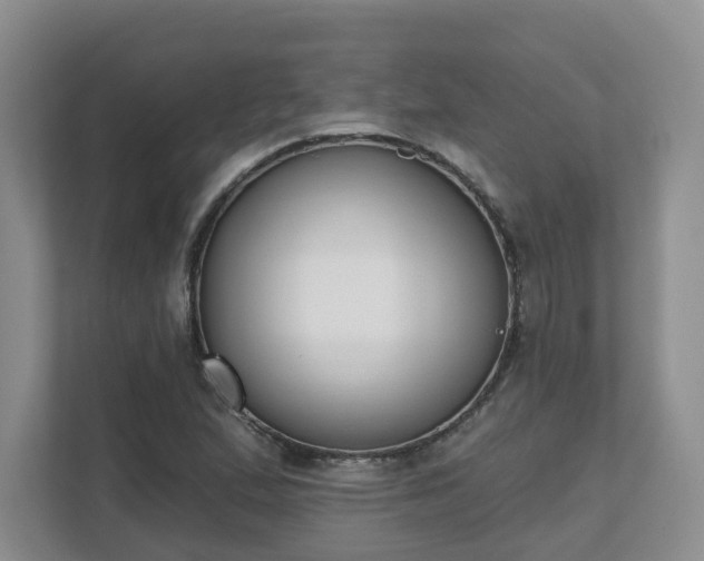 X0000111621167200907241024