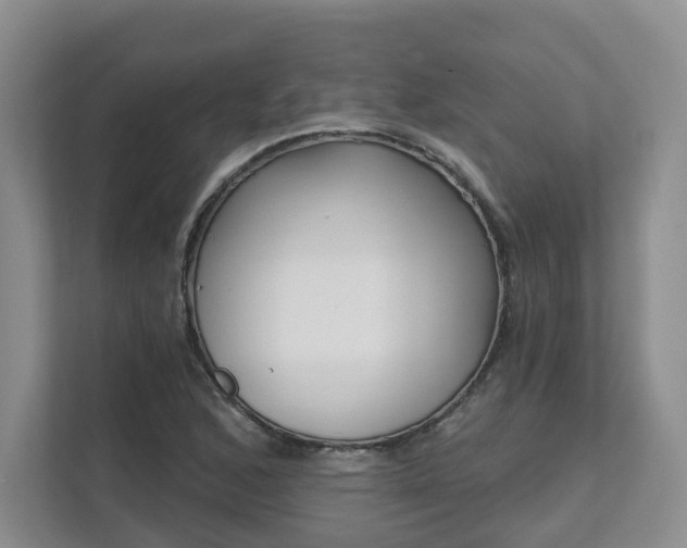 X0000111621168200907241024