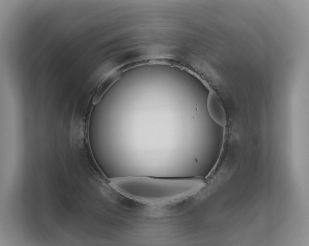 X0000111621169200907241024