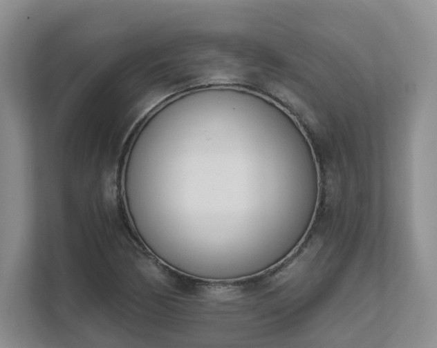X0000111621170200907241024