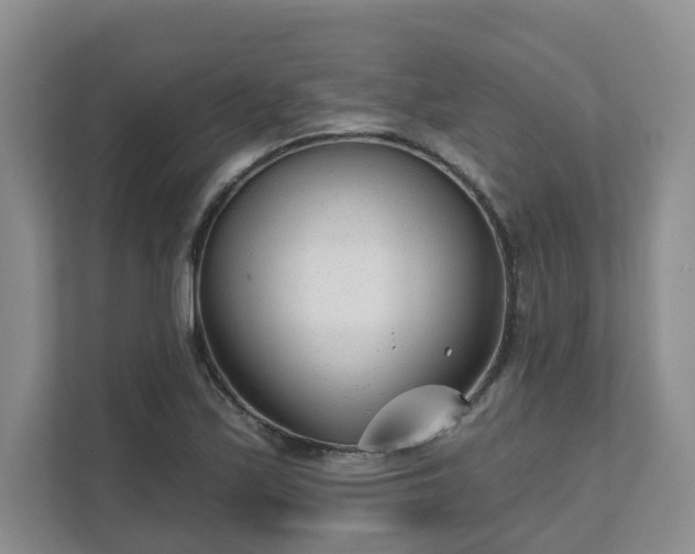 X0000111621171200907241024